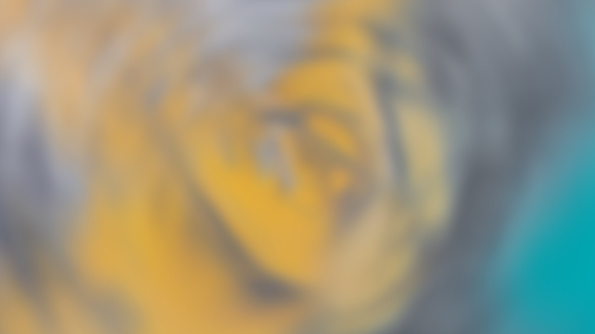 Category: general